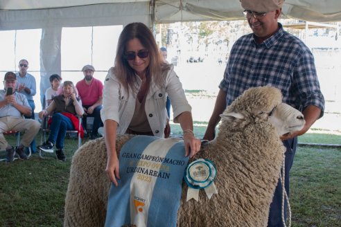 Este fin de semana se concreta una nueva edición de Expo Ovina
